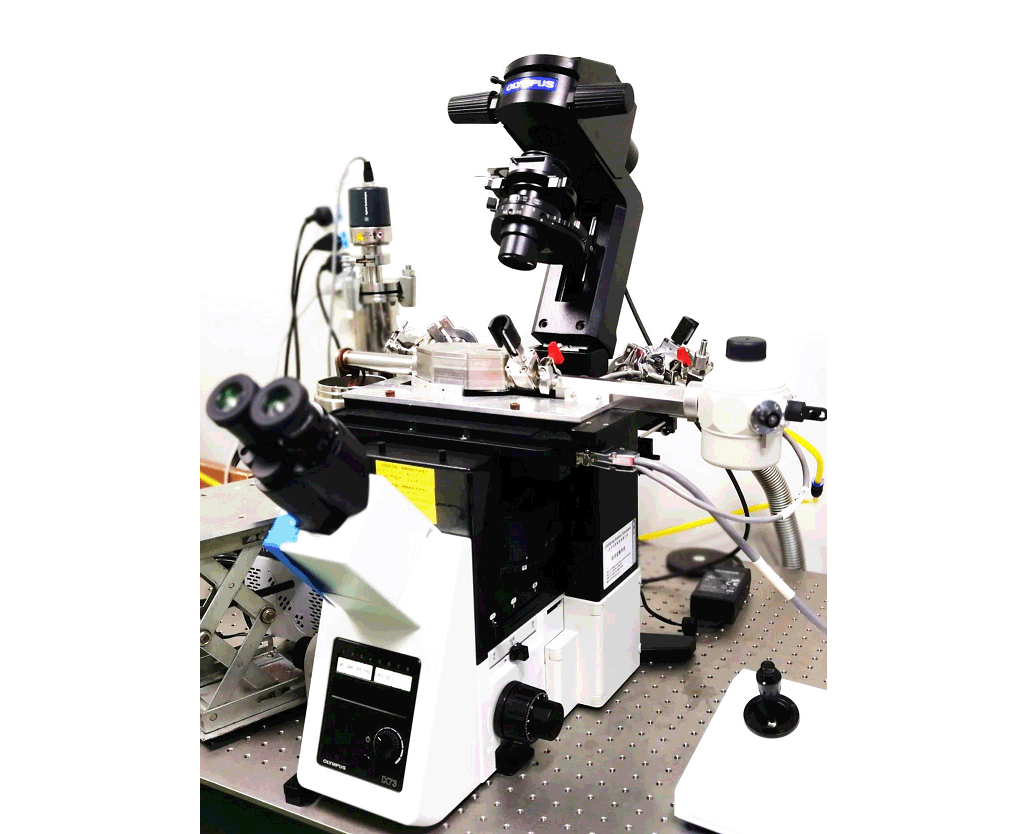 High-vacuum Optical Platform for cryo-CLEM